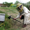 Les chalets des abeilles